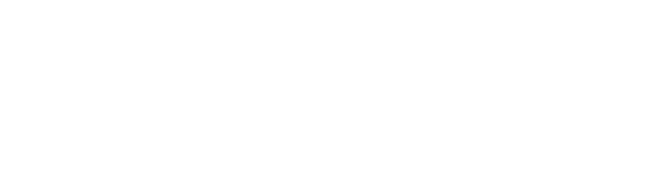 Expert Home Services